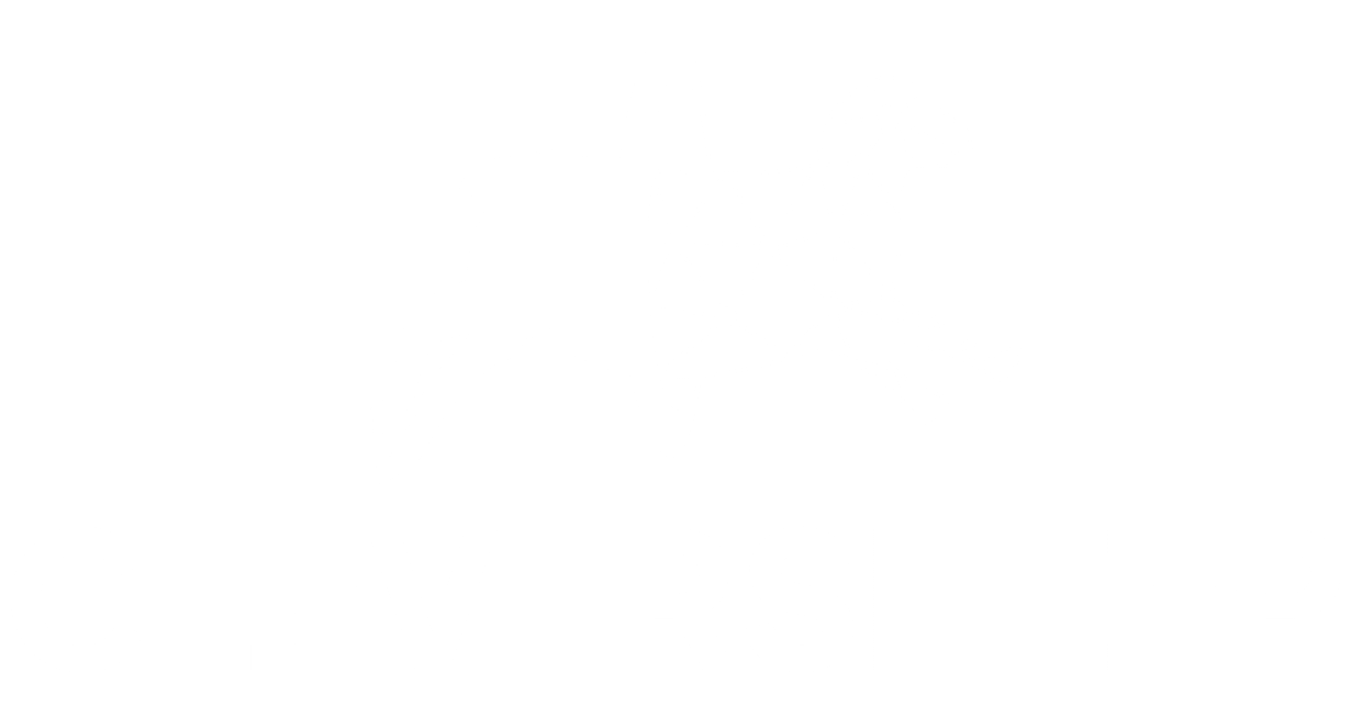 Clever Sheep